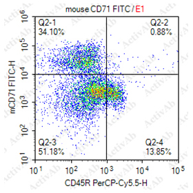 Anti-CD71(FITC) Monoclonal Antibody