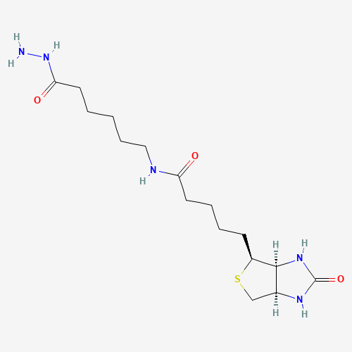 (+)-Biotinamidohexanoic acid hydrazide molecular structure
