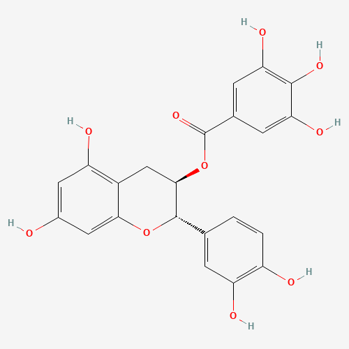 (−)-Catechin gallate molecular structure