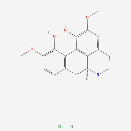 (+)-Isocorydine hydrochloride molecular structure