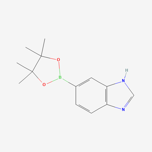 1H-Benzimidazole-5-boronic acid pinacol ester molecular structure