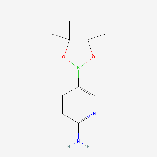 2-Aminopyridine-5-boronic acid pinacol ester molecular structure