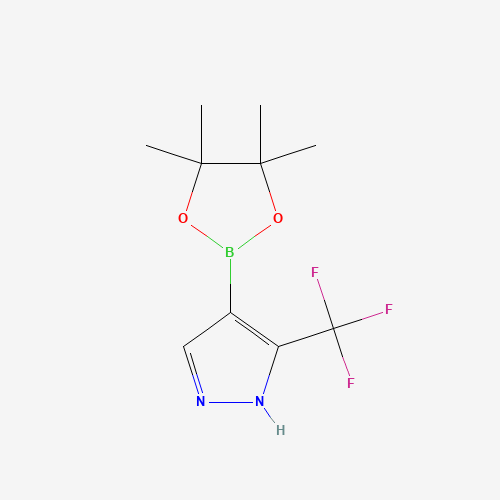 3-(Trifluoromethyl)-1H-pyrazole-4-boronic acid pinacol ester molecular structure