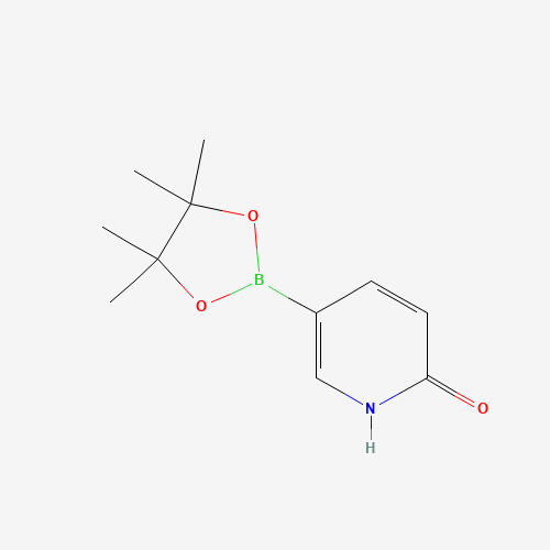 6-Hydroxypyridine-3-boronic acid pinacol ester molecular structure