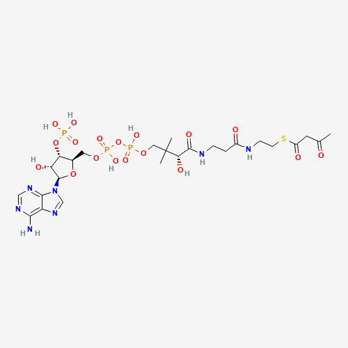 Acetoacetyl coenzyme A sodium salt hydrate molecular structure
