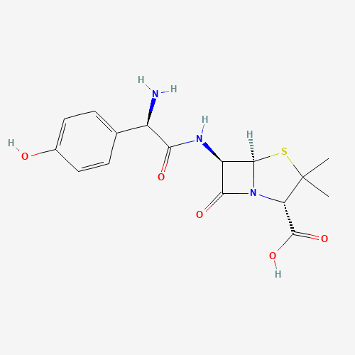 Amoxicillin molecular structure