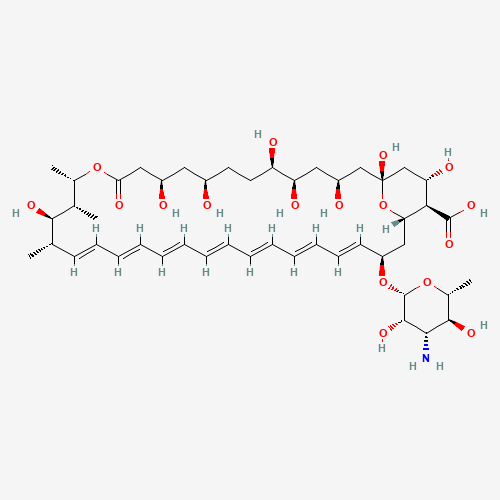 Amphotericin B – Low Endotoxin molecular structure