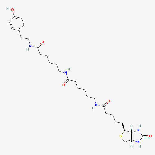 Biotin-XX-tyramide molecular structure