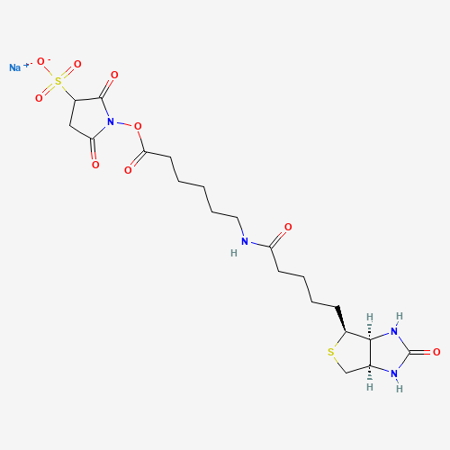 Biotinamidohexanoic acid 3-sulfo-N-hydroxysuccinimide ester sodium salt