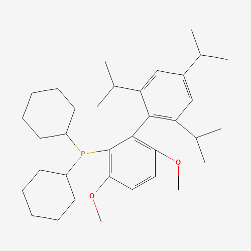 BrettPhos molecular structure