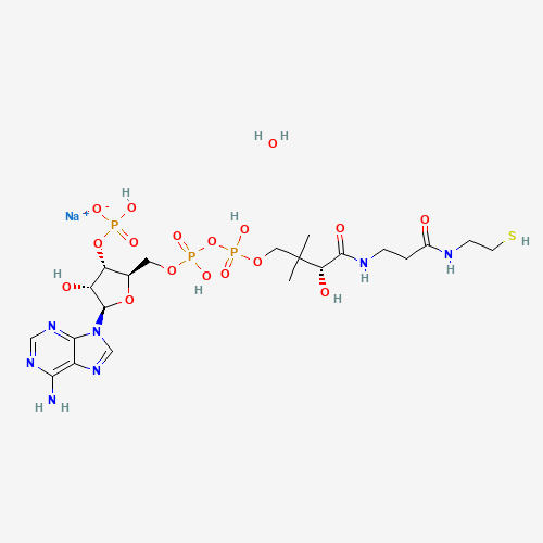 Coenzyme A sodium salt hydrate molecular structure