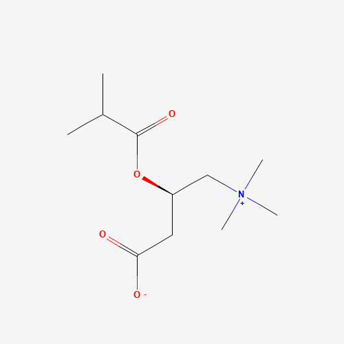 Isobutyryl-L-carnitine molecular structure