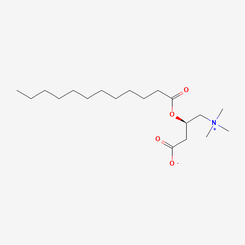 Lauroyl-L-carnitine molecular structure