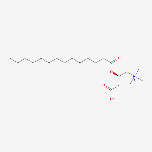Myristoyl-L-carnitine molecular structure