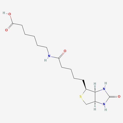 N-(+)-Biotinyl-6-aminohexanoic acid molecular structure