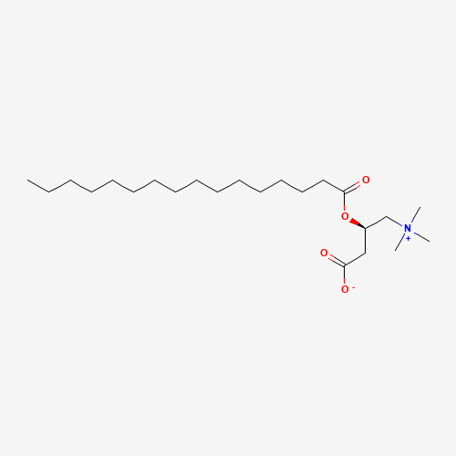 Palmitoyl-L-carnitine molecular structure