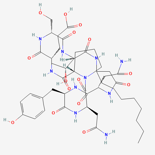 Protease from Bacillus licheniformis molecular structure