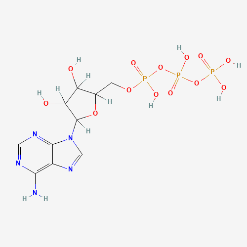 R-Phycoerythrin molecular structure