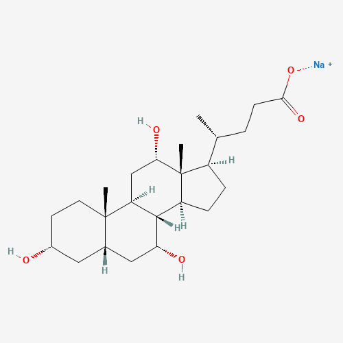 Sodium cholate hydrate molecular structure