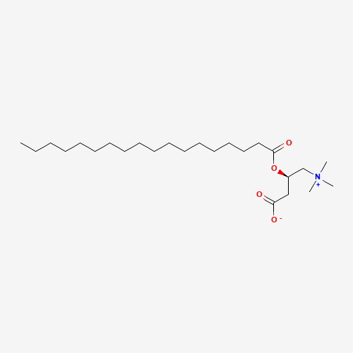 Stearoyl-L-carnitine molecular structure